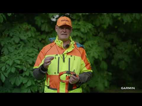 Garmin Alpha LTE - Team Winz stellt dir unseren Hundetracker vor