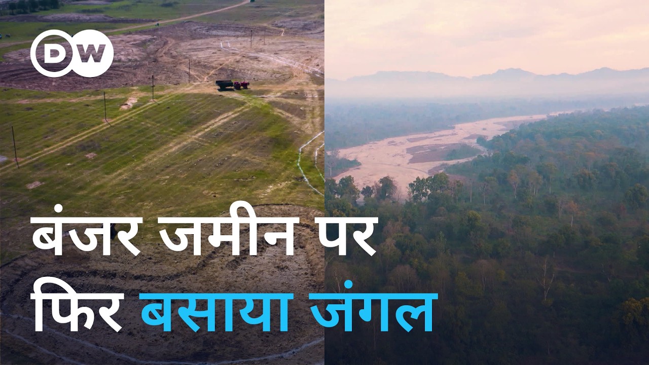 उत्तराखंड: बंजर जमीन को फिर से जंगल में बदला [Activist restores land in private rewilding project]