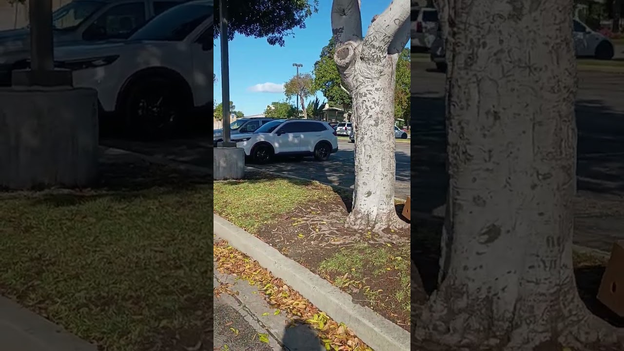 Aquí con mis amigas 