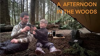 Afternoon in the woods #bushcraft #forest #wildcamping