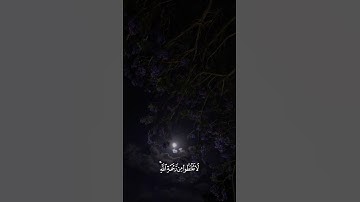 القارئ محمد هشام || سورة الزمر