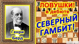 Шахматы ♔ Берд - Ласкер ♕ Шахматные ЛОВУШКИ в дебюте Северный гамбит! Шахматы ♔ Берд - Ласкер ♕ Шахматные ЛОВУШКИ в дебюте Северный гамбит!