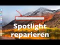 Spotlight unter macOS reparieren