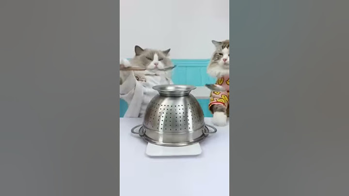 See how Puff handles a spam call with his own hilarious tricks!#thatlittlepuff