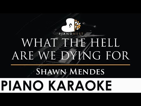 Shawn Mendes - WHAT THE HELL ARE WE DYING FOR - Piano Karaoke Instrumental Cover with Lyrics