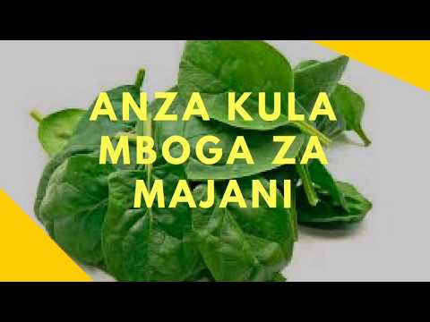 Video: Jinsi ya kula smelts?