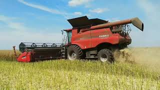 Убираем Рапс на CASE IH AXIAL- FLOW 8240