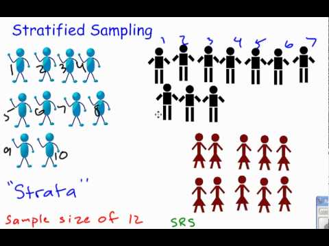 Stratified sample   definition of stratified sample by the 