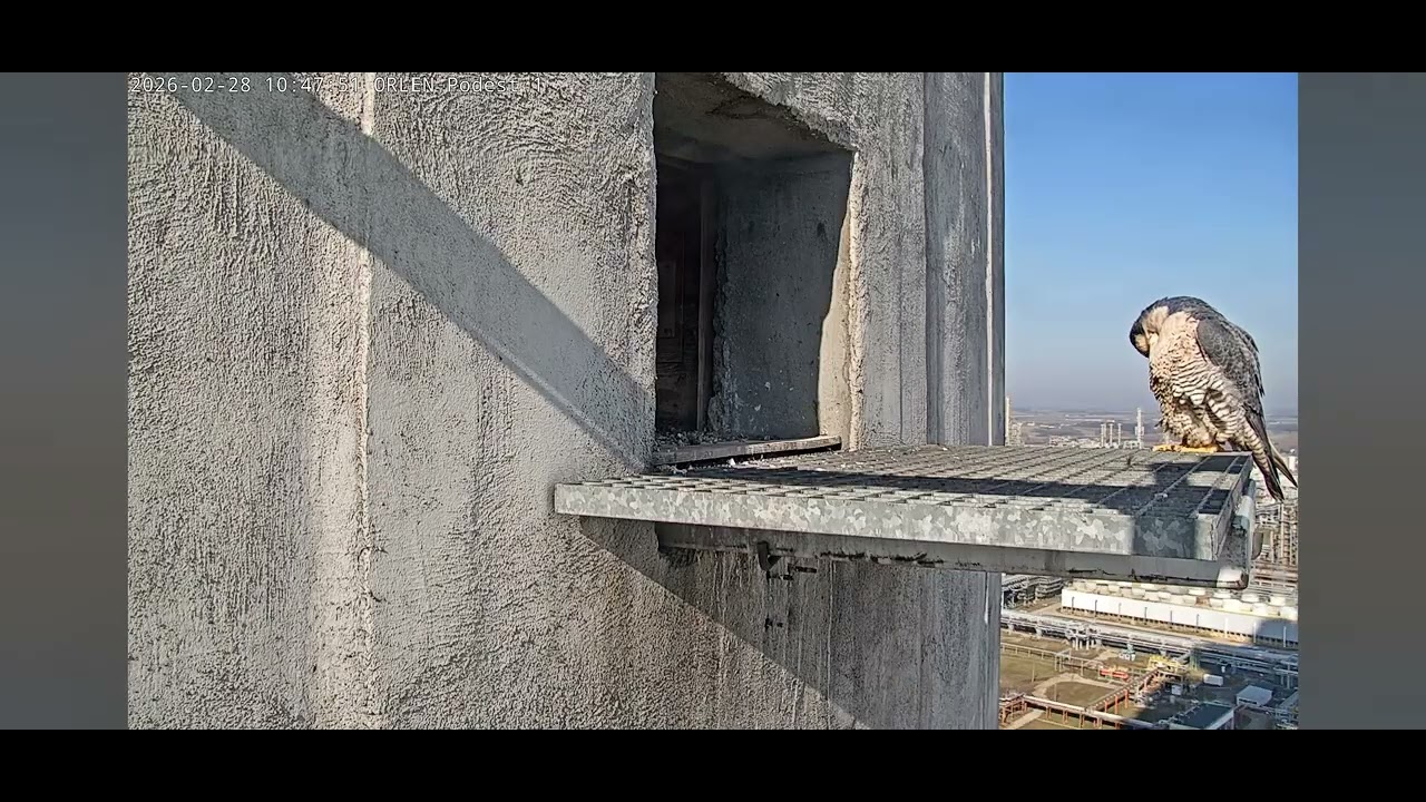 ORLEN_PŁOCK 28.02.2026_WERWA nadal pilnuje komina G1.