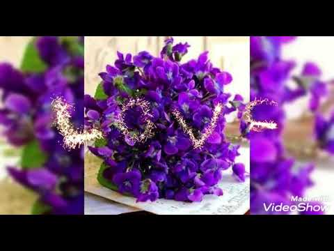 عشان خاطر عينيك