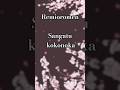 Remioromen/Sangatu kokonoka #３月９日#レミオロメン#Cover #歌ってみた #卒業#桜