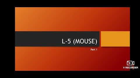 Class-1, Subject-Computer, Chapter-5, Part-1 by Mrs Sunidhi