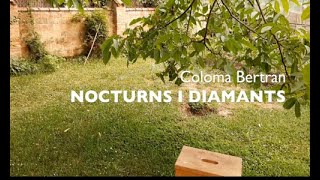 &#39;Nocturns i diamants&#39; el primer disc de Coloma Bertran