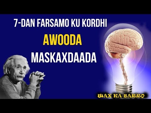 7 Talaabo Oo Aad Ku Kordhin Karto AWOODA MASKAXDAADA