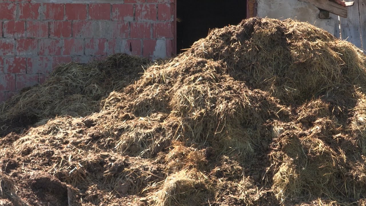 Imamo rešenje ep. 149 11.04.2022. Upotreba stajskog đubriva