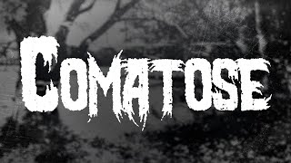 Skillet - Comatose / 