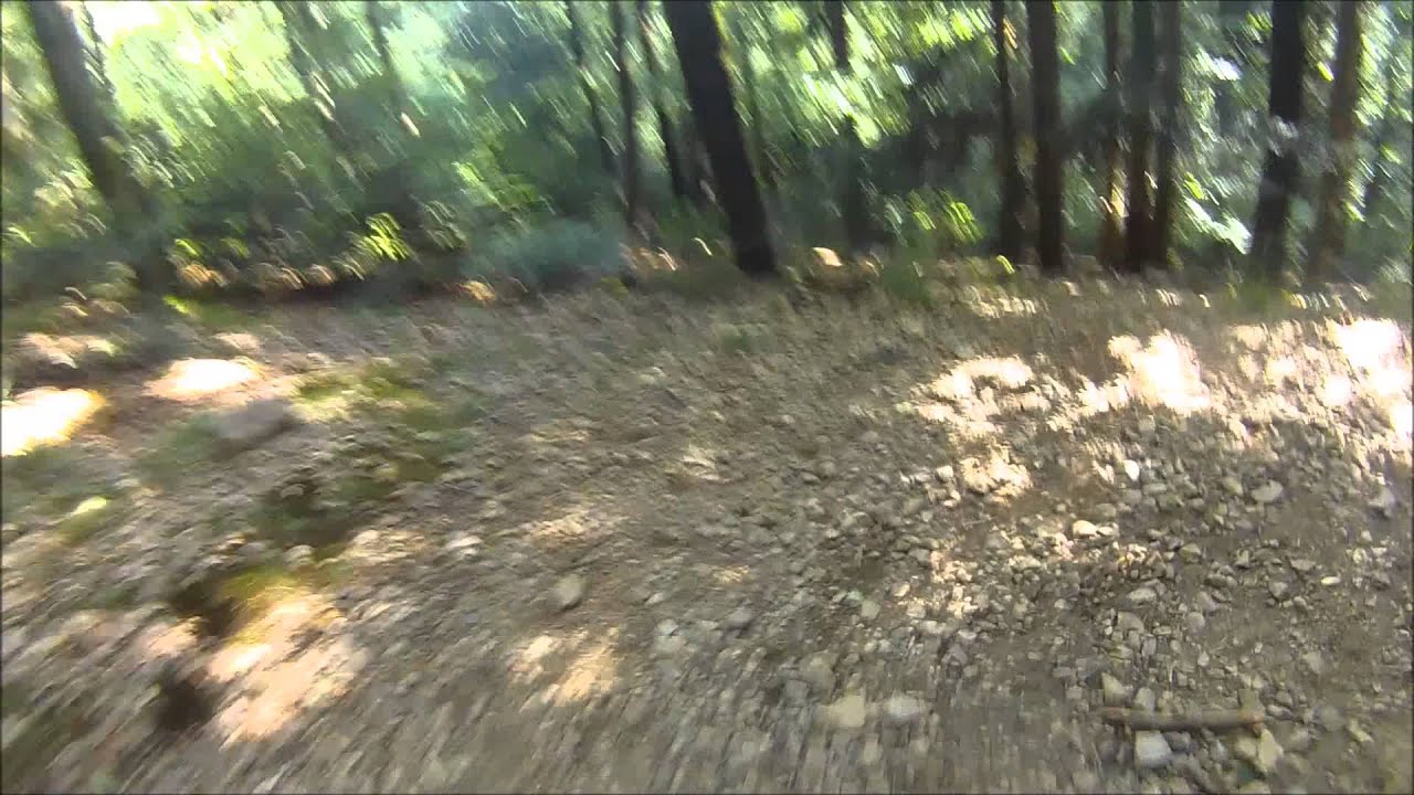 freiburg singletrail