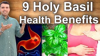 Holy Basil Health Benefits What Is Holy Basil Good For, Its Benefits And Properties