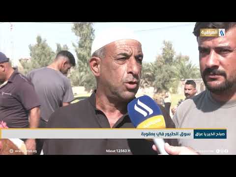 سوق الطيور في بعقوبة تقرير دريد المعموري