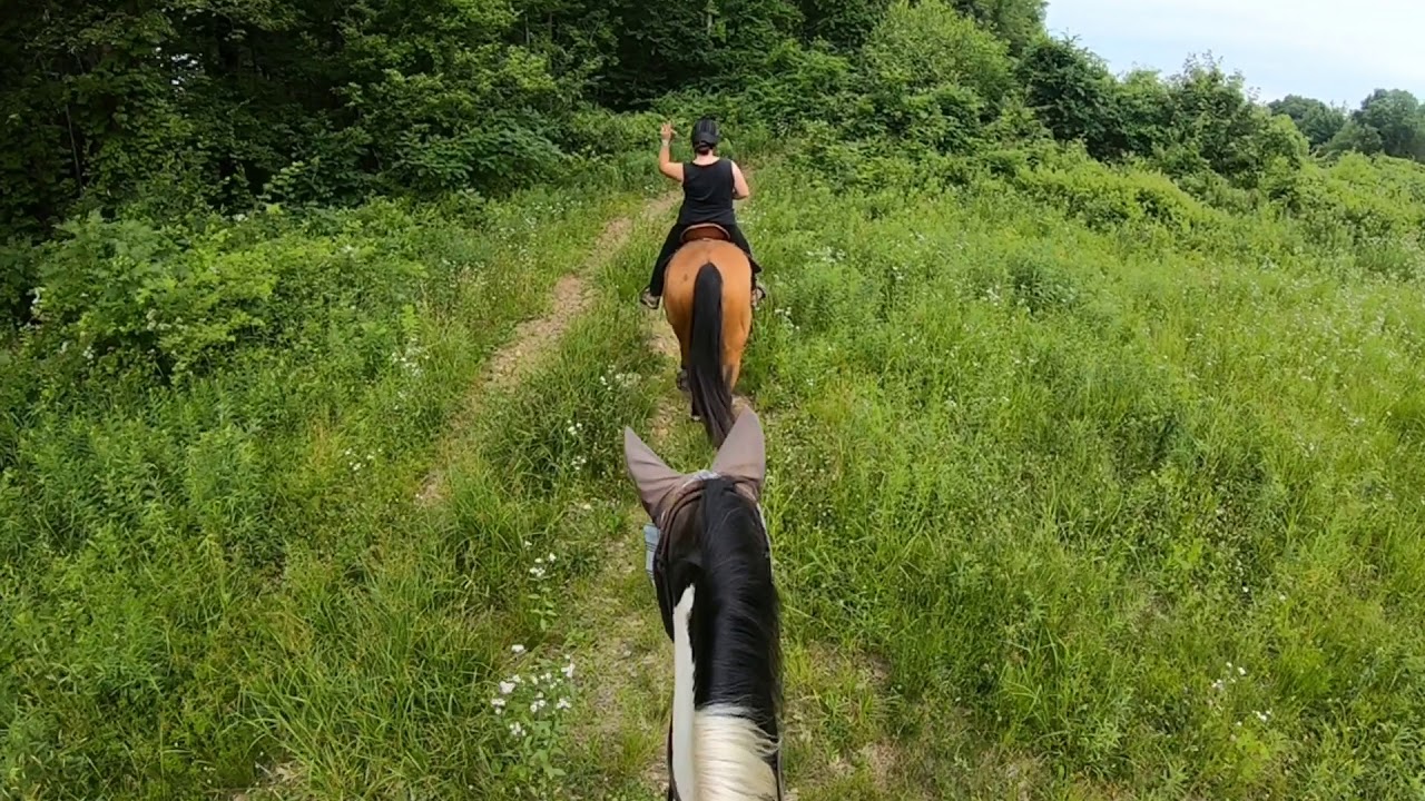 Horse riding gopro YouTube