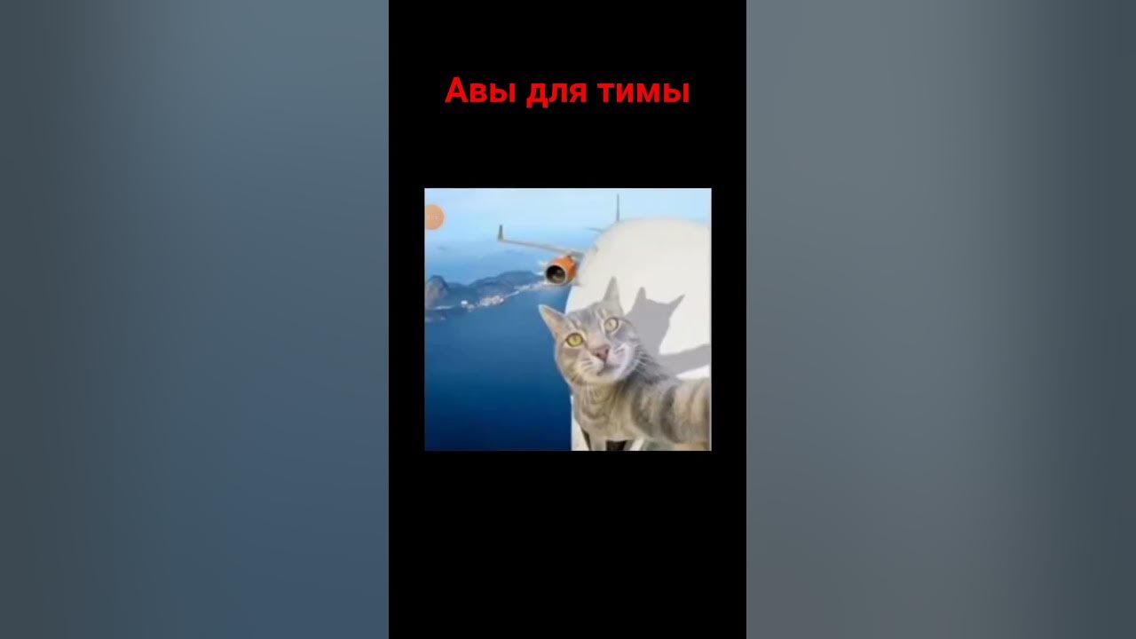 авы для тимы - YouTube