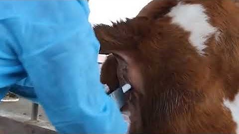 How to use an ovulation detector?