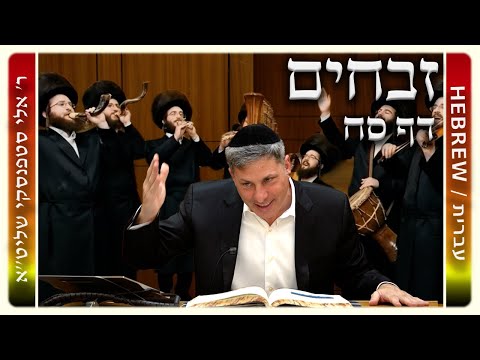 מרכז דף יומי - זבחים דף סח. - ר' אלי סטפנסקי שליט"א