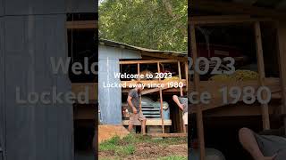Barn find bus