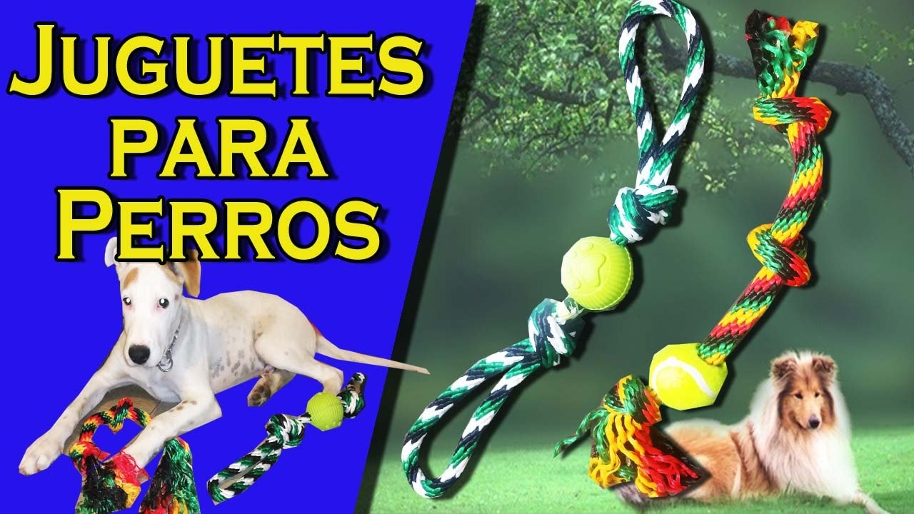 3 JUGUETES para PERROS 