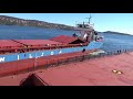 FEDERAL KATSURA    ( Bulk Carrier)