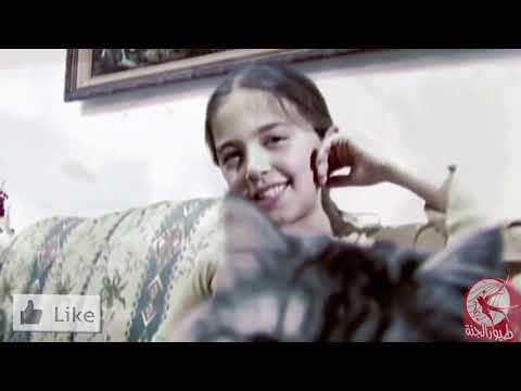 يا قطتي طيور الجنة
