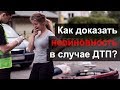 Как доказать свою невиновность в ДТП?