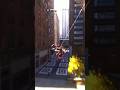 Balanceo Libre Sam Raimi Traje #spiderman #marvelsspiderman2 #ps5 #ps5 #gaming