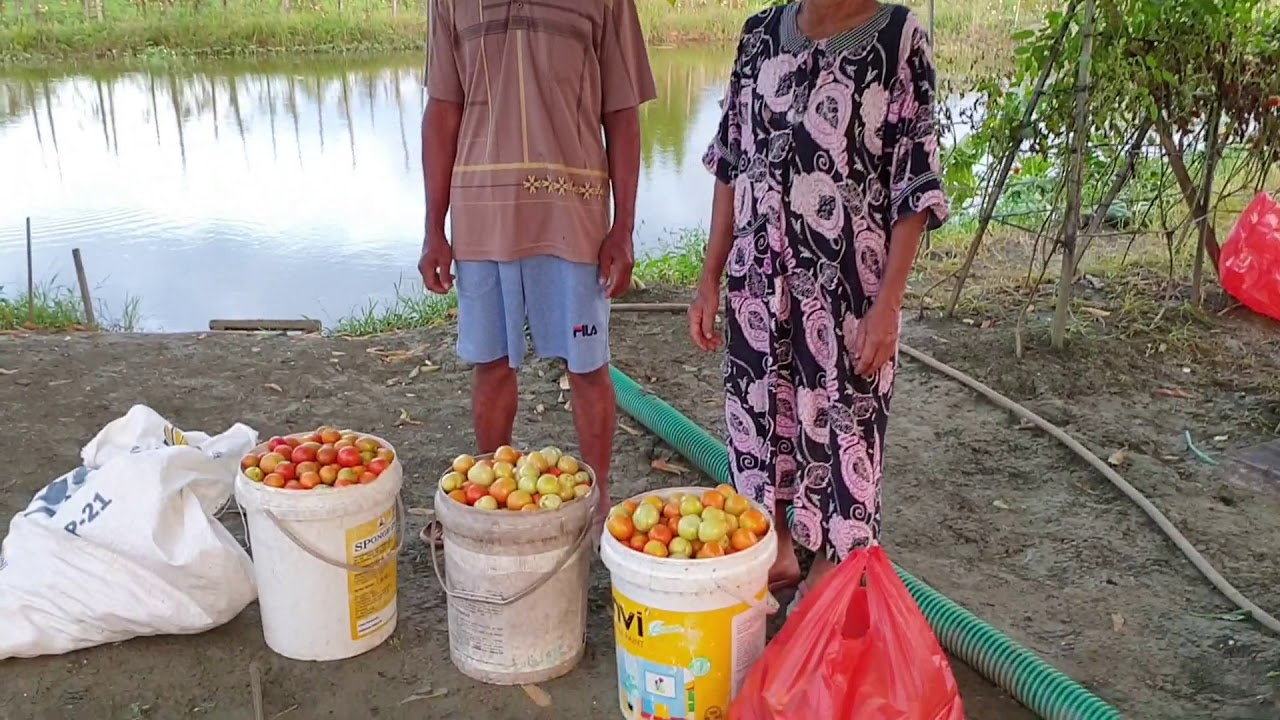 Membuat Orang Tersenyum - YouTube