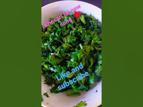khesari new holi song