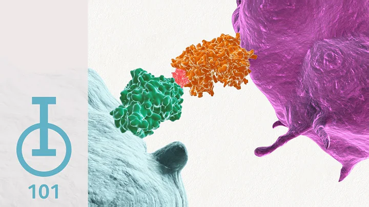 IOU Youtube: Chapter 1: The Immune System