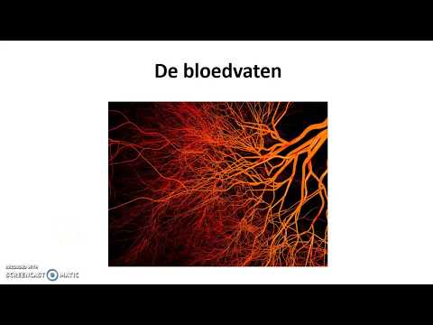 Video: Waar Koolstofdioxide Door Het Bloed Wordt Afgevoerd