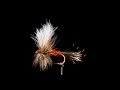 Ausable wulff  fran betters dry fly