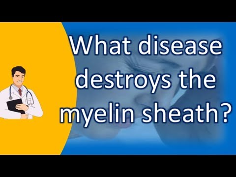 What destroys myelin sheath?