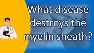What disease destroys the myelin sheath ? | Good Health and More
