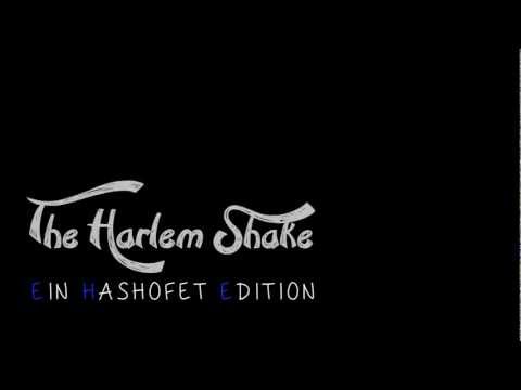 The Harlem Shake - Ein Hashofet