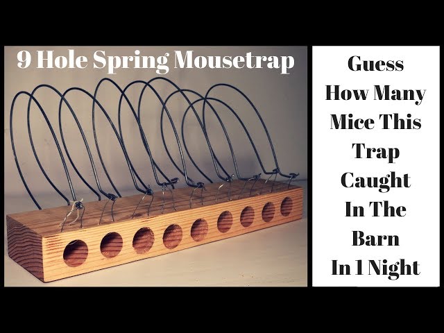 How To Build A 400 Year Old Style Mascall Spring Mousetrap (9