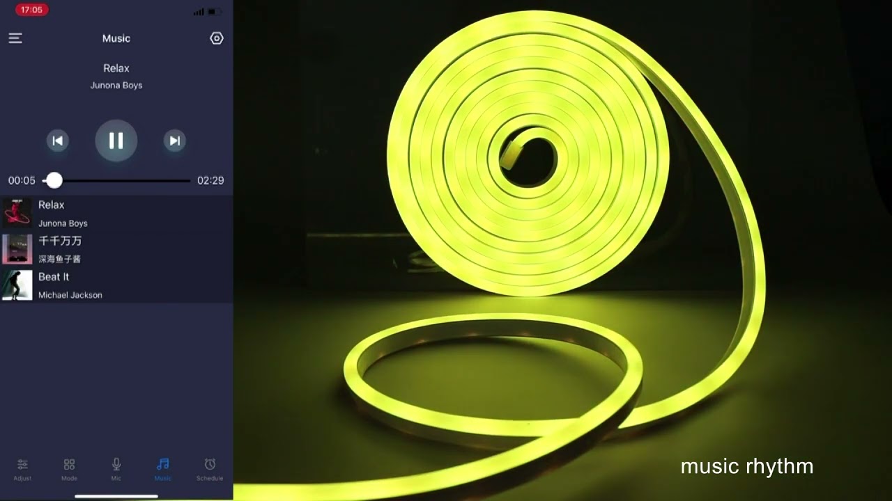 WS2812 RGBIC RGB LED Neon Light Strip,5V USB Waterproof Bluetooth