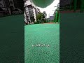 【猫動画】猫の喧嘩が始まった…🐱🔥 DJI Action 2で見た猫の世界