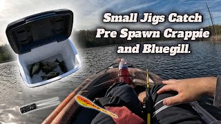Famous Pre-Spawn Fishing in Michigan For Crappie + Bluegill Net Worth