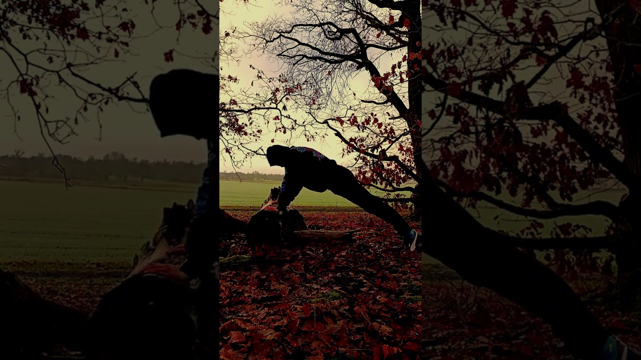 Tag 1 zur&uuml;ck zu mir...