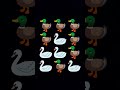 duck