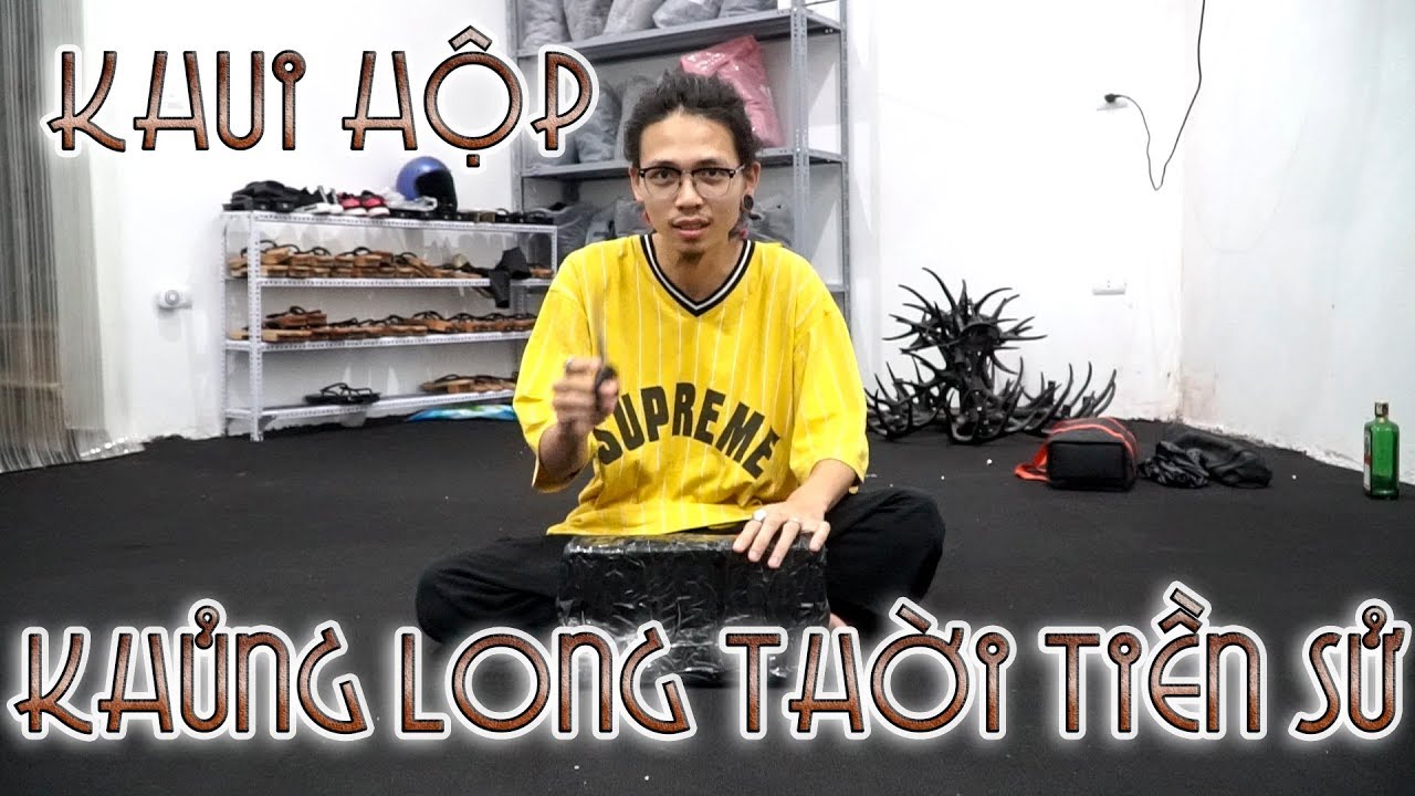 đồ chơi cho bé gái Khui hộp khủng long thời tiền sử - Unbox Dinosaur Bones| WILDVN TV