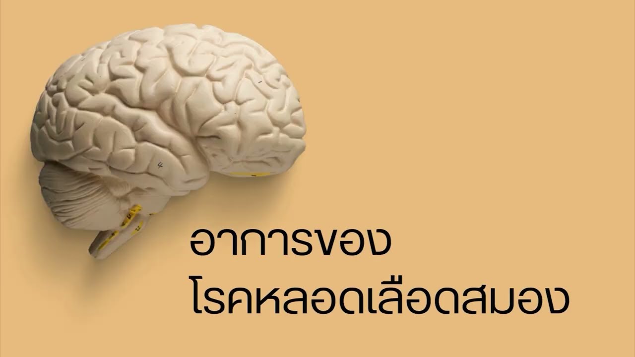 คลิป KIN