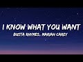 Busta Rhymes, Mariah Carey - I Know What You Want (Lyrics) ft. Flipmode Squad